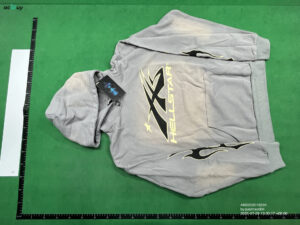 Hell Star Hoodie QC Image