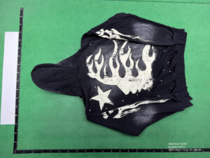Hell Star Hoodie QC Image