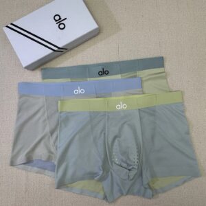 alo Ice Silk Seamless Underwear