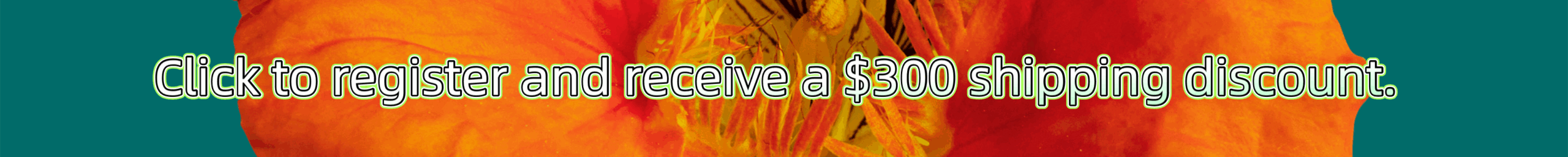 itaobuy Shipping Discount